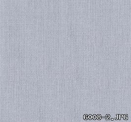 LVAS1007