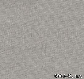 LVAS1005