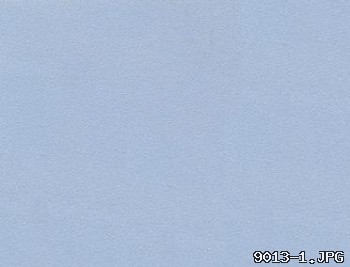 9013-1