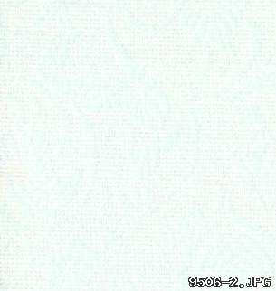 LVAS1011