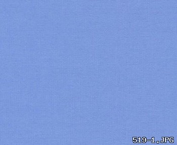 519-1